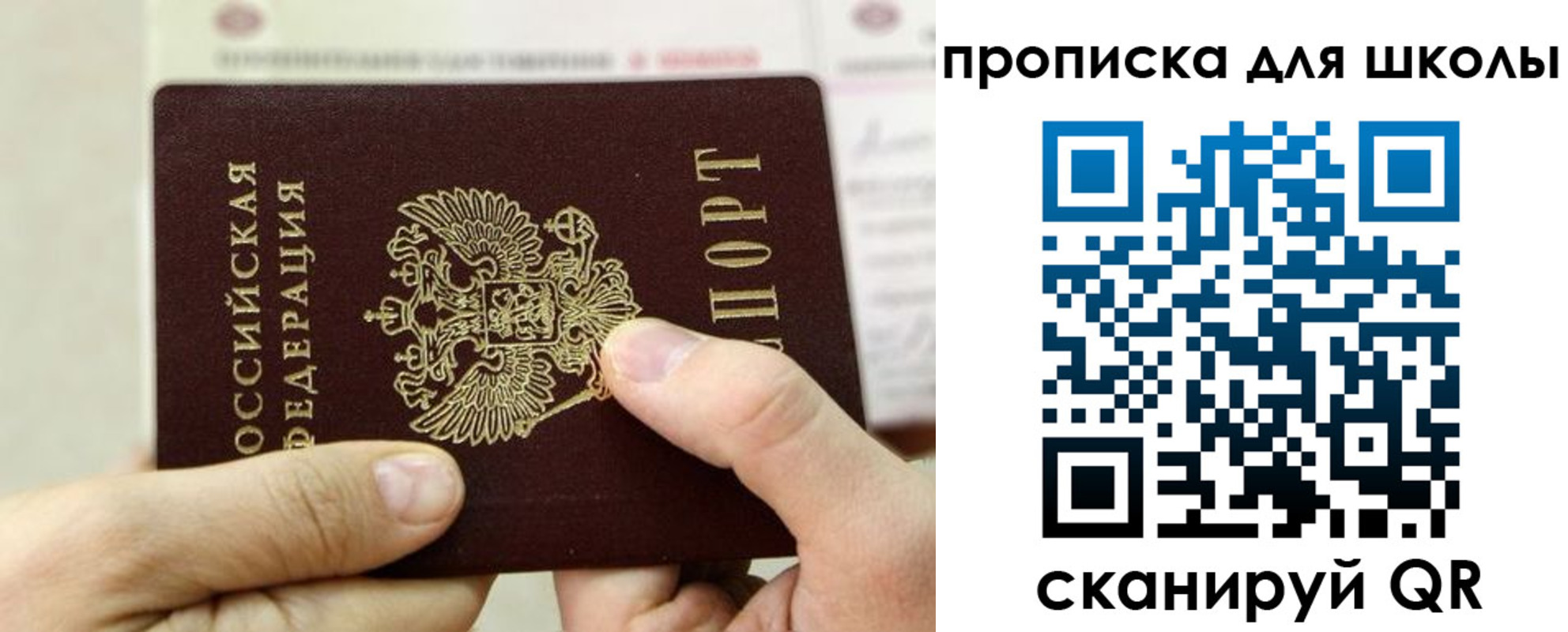 прописка гарантия в Тамбове